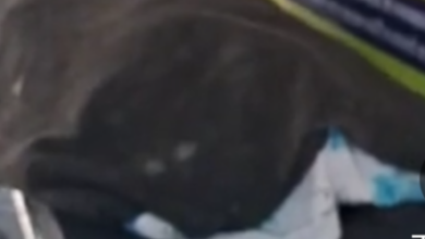 Screenshot 20260122 170218.Dainik Bhaskar