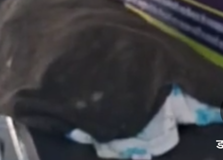 Screenshot 20260122 170218.Dainik Bhaskar