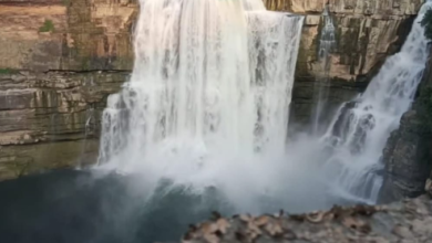 Screenshot 20260123 114515.WhatsApp