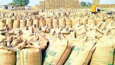 Screenshot 20260123 122739.WhatsApp