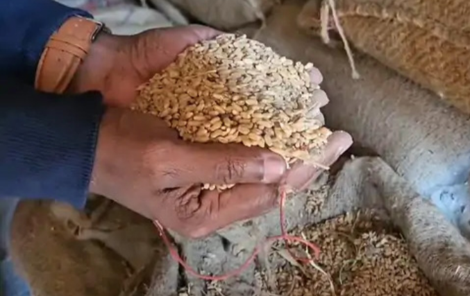 Screenshot 20260124 154552.WhatsApp