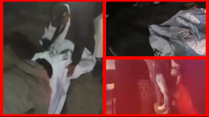 Screenshot 20260127 105021.Gallery