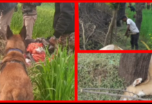 Screenshot 20260128 084415.Gallery