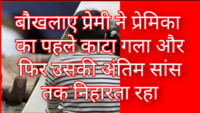 Screenshot 20260128 190340.Gallery