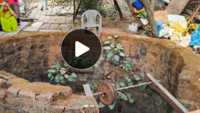 Screenshot 20260128 205922.Dainik Bhaskar