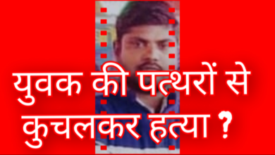 Screenshot 20260129 113547.Gallery