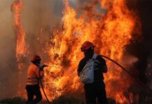 दो सटे हुए गोदामों में आग लगने से 8 की मौत, कई मजदूर के फंसे होने की आशंका 11 Untitled 2 copy 15