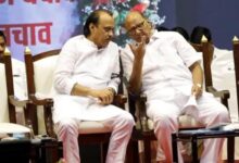 अजीत पवार के बाद शरद पवार फिर बन सकते हैं संबल 11 Untitled 5 copy 7