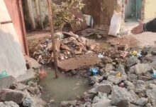 WhatsApp Image 2026 01 02 at 12.14.24