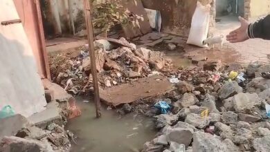 WhatsApp Image 2026 01 02 at 12.14.24