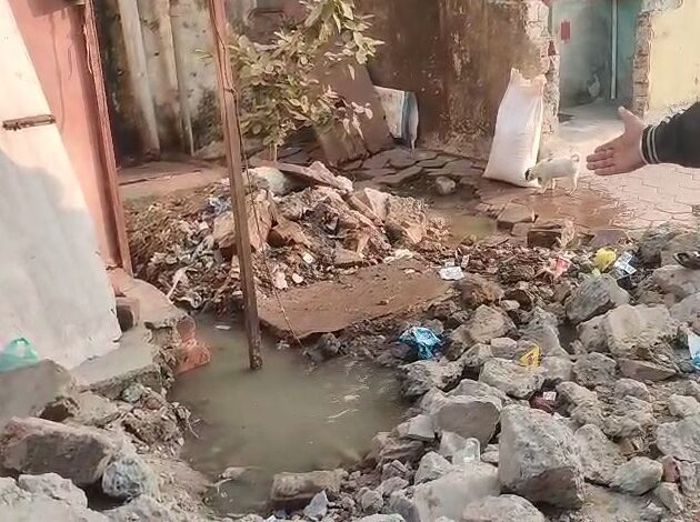 WhatsApp Image 2026 01 02 at 12.14.24