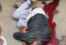 WhatsApp Image 2026 01 03 at 4.19.36 PM