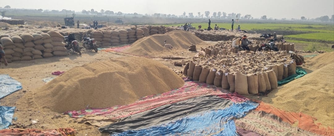 WhatsApp Image 2026 01 04 at 11.11.07