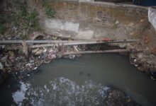 WhatsApp Image 2026 01 04 at 11.42.52 AM 1