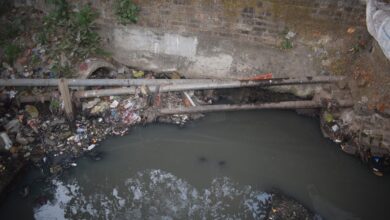 WhatsApp Image 2026 01 04 at 11.42.52 AM 1