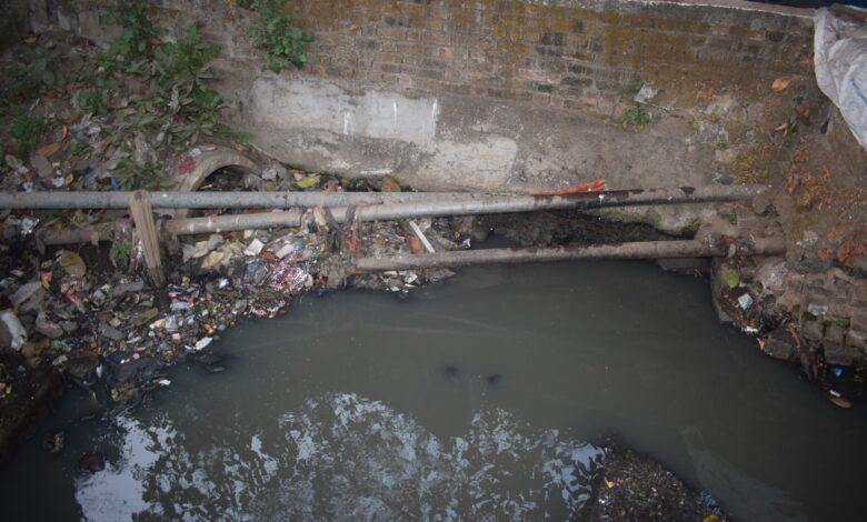 WhatsApp Image 2026 01 04 at 11.42.52 AM 1