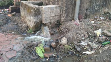 WhatsApp Image 2026 01 09 at 12.03.12