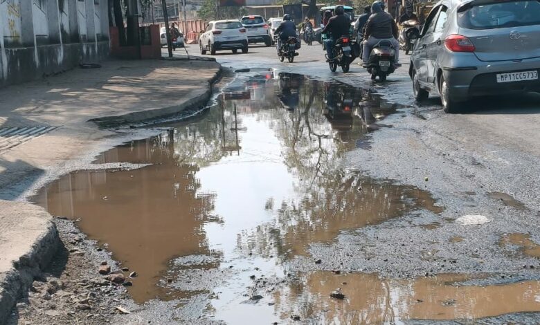 WhatsApp Image 2026 01 11 at 12.24.43 1