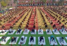 WhatsApp Image 2026 01 12 at 09.52.46