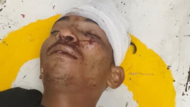 WhatsApp Image 2026 01 12 at 17.14.45