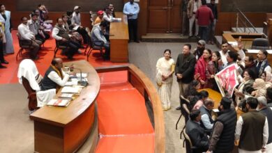 WhatsApp Image 2026 01 13 at 12.34.03