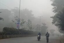 WhatsApp Image 2026 01 14 at 11.46.25