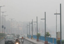 WhatsApp Image 2026 01 16 at 11.50.35