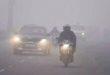 WhatsApp Image 2026 01 17 at 12.08.25