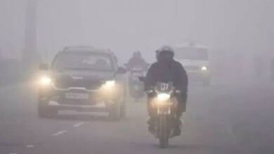 WhatsApp Image 2026 01 17 at 12.08.25