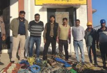 WhatsApp Image 2026 01 17 at 7.45.58 PM