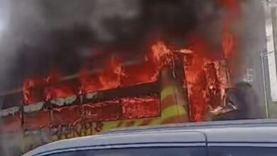 WhatsApp Image 2026 01 20 at 5.40.06 PM