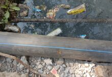 WhatsApp Image 2026 01 22 at 12.24.51 PM