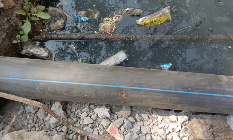 WhatsApp Image 2026 01 22 at 12.24.51 PM