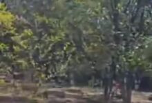 WhatsApp Image 2026 01 22 at 12.25.11