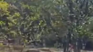 WhatsApp Image 2026 01 22 at 12.25.11