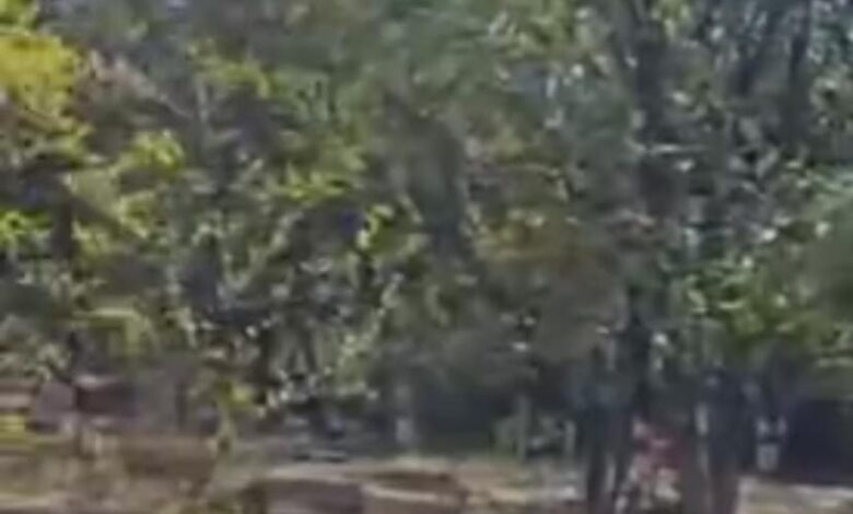 WhatsApp Image 2026 01 22 at 12.25.11