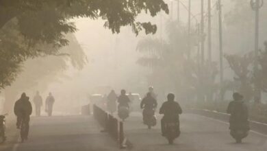 WhatsApp Image 2026 01 22 at 12.43.18