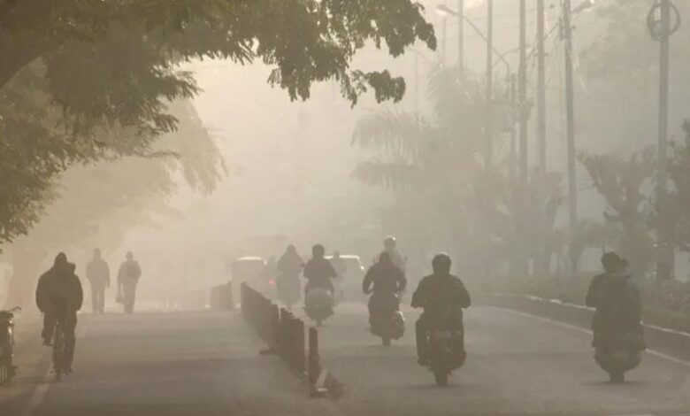 WhatsApp Image 2026 01 22 at 12.43.18