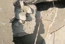 WhatsApp Image 2026 01 22 at 14.05.00