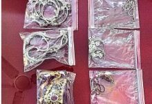 WhatsApp Image 2026 01 23 at 12.39.48