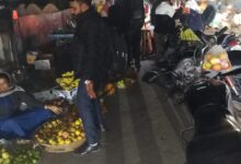 WhatsApp Image 2026 01 23 at 12.59.48 PM