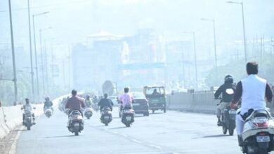 WhatsApp Image 2026 01 24 at 12.13.50