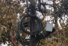 WhatsApp Image 2026 01 25 at 13.51.04