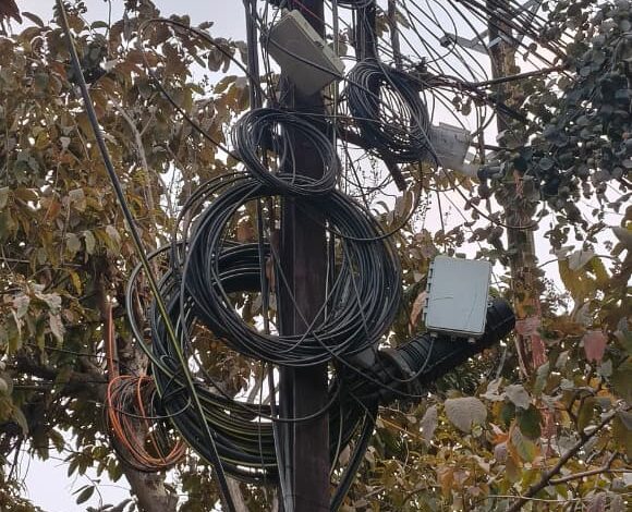 WhatsApp Image 2026 01 25 at 13.51.04