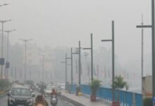 WhatsApp Image 2026 01 29 at 12.12.31