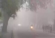 WhatsApp Image 2026 01 30 at 11.48.50