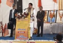 WhatsApp Image 2026 01 30 at 15.33.35