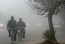 भोपाल में टूटा 10 साल का रिकॉर्ड, 2°C के साथ राजगढ़ सबसे ठंडा 10 the ten year record of november cold was broken in bhopal