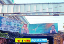 पूरी रात चला गार्डर चढ़ाने का काम, कटनी ग्रेड सेपरेटर के लिए पिलर पर चढ़ाए भारी भरकम गार्डर 4 02 38