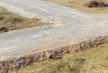 IMG 20260219 WA0016 2